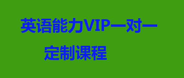 英语能力VIP一对一定制课程