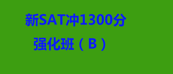 新SAT冲1300分强化班B