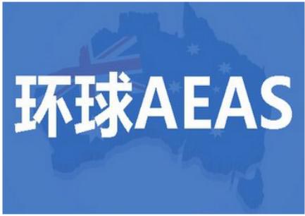 AEAS考试全方位解析与高效备考指南