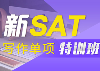 新SAT寫作單項(xiàng)特訓(xùn)班