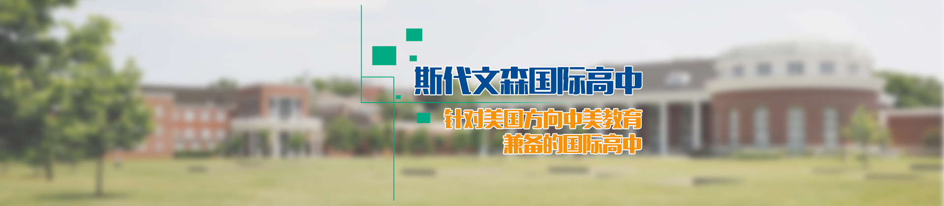 斯代文森国际高中