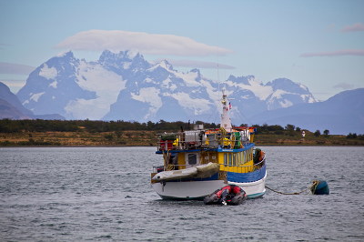 名校升学路径规划