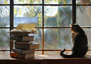 考研专业课私密1对1课程