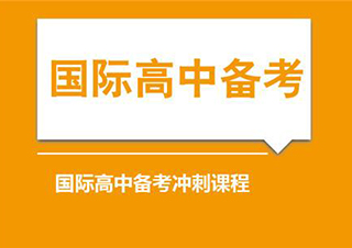 斯代文森國(guó)際高中APEX系統(tǒng)