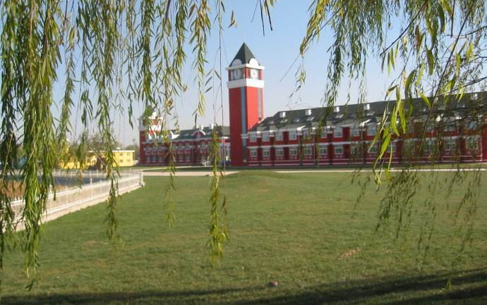 国际高中WACE升学成果