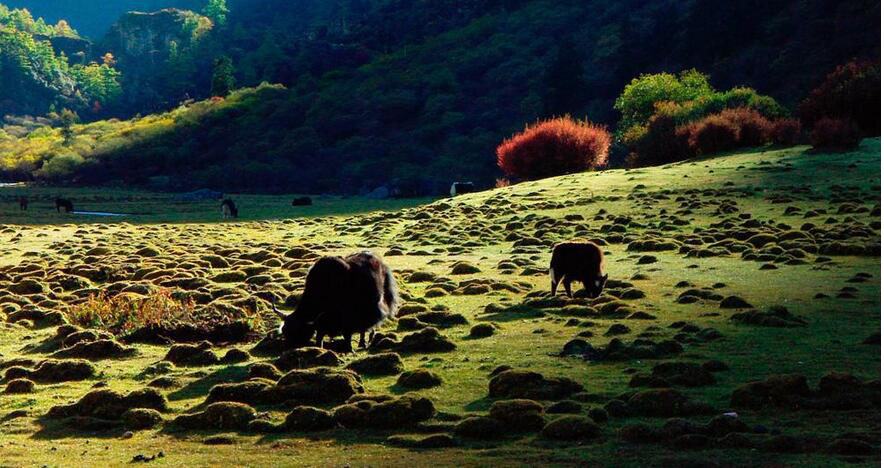 艺术教学场景
