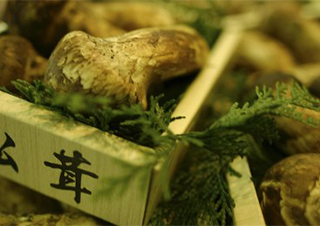 现象级日剧《半泽直树》联名糕点深度解析