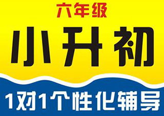 复旦托业中小学辅导深度解析