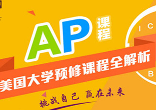 AP一对一精品班