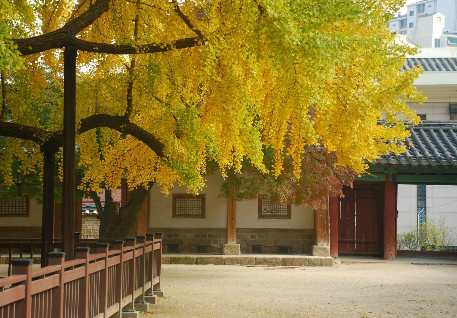 韩国留学基本知识介绍