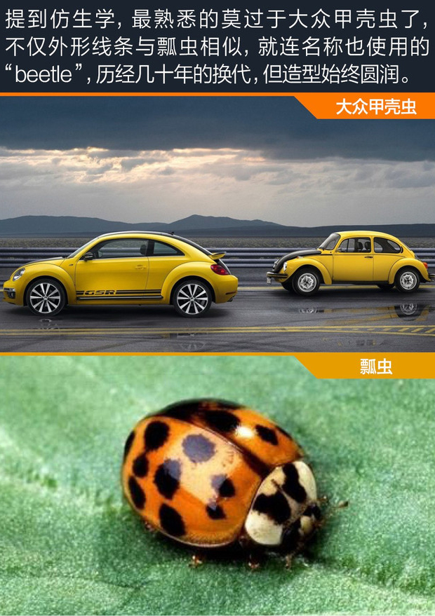 保时捷设计演进