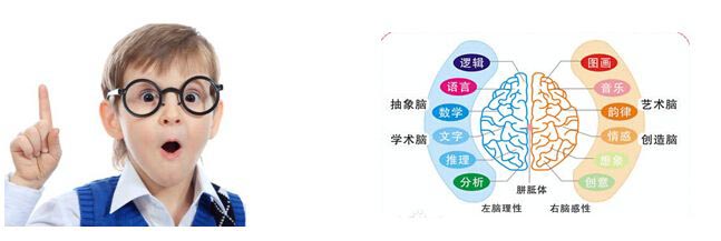 记忆训练原理图示