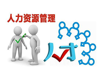 深度解析人力资源师证书的实战价值