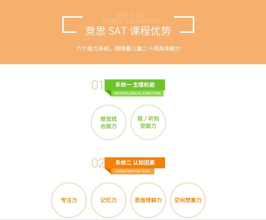 SAT训练模型