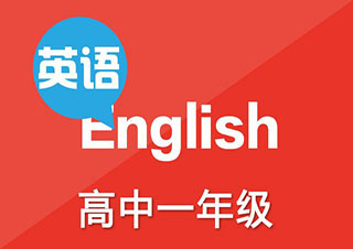 揭秘全球教育真相：上海龙文教育解析高效学习路径
