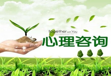 心理咨询师实操教学