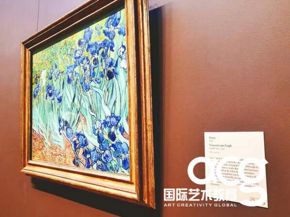 ACG教育环境
