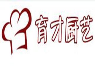 家庭厨艺的文化价值与实践意义深度解析