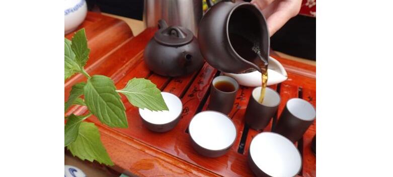 茶艺实操教学现场