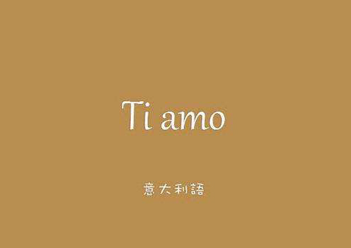 意大利语四维突破法深度解析