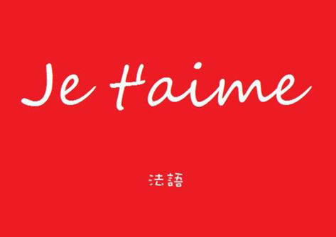 法语语法精要解析与学习路径指南