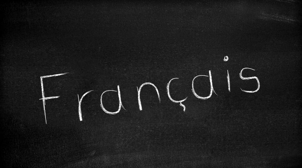 法语高级课程课堂实景