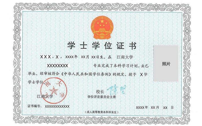 专科教育体系