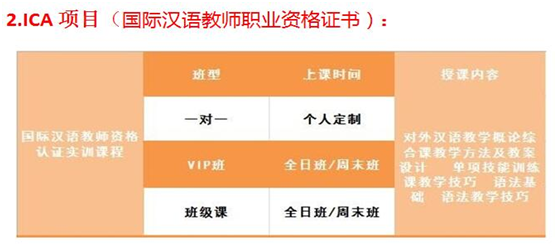 汉语教学实践