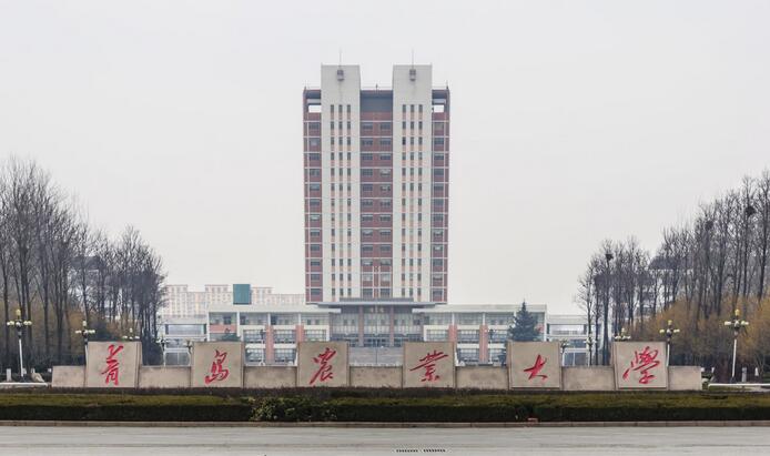 青岛农业大学校园全景