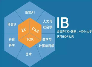 IB课程