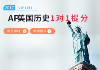 AP美国历史一对一