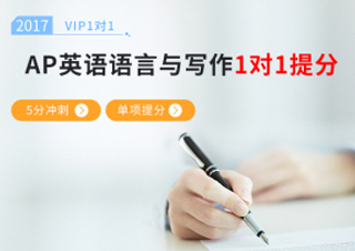 AP英语语言与写作一对一课程