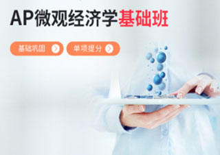 AP微观经济学基础班