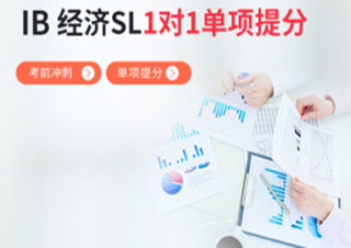 IB经济SL一对一精品班