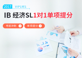 IB经济SL一对一