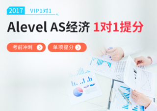 Alevel经济一对一
