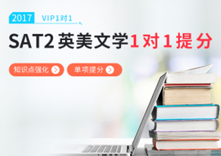 SAT2英美文学一对一