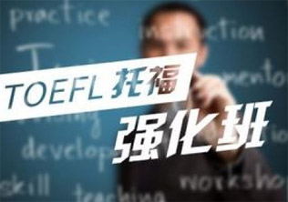 托福综合1对1全面提分