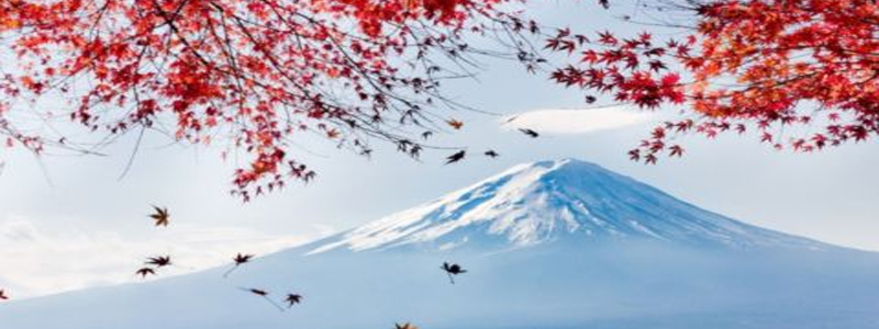 日语口语教学场景