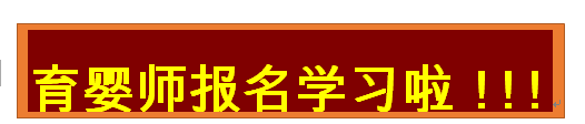 专业育婴师实训