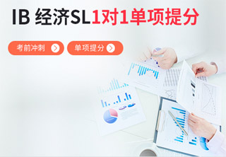 IB经济SL1对1单项提分