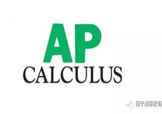 AP定制化教学深度解析