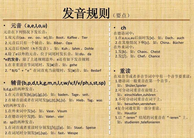 德语课堂实景