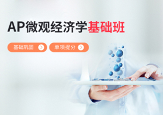 AP微观经济学基础班