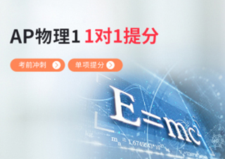 AP物理11对1单项提分班