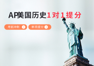 AP美国历史1对1单项提分班