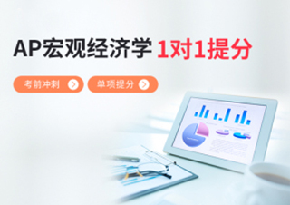 AP宏观经济学1对1单项提分班