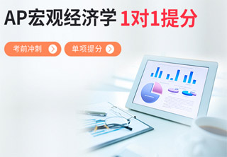 AP宏观经济学1对1单项提分