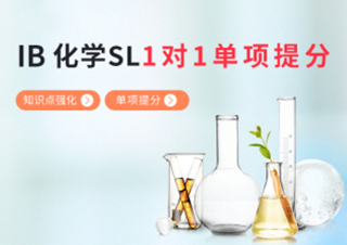 IB化学SL1对1单项提分班