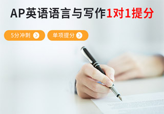 AP英语语言与写作1对1单项提分